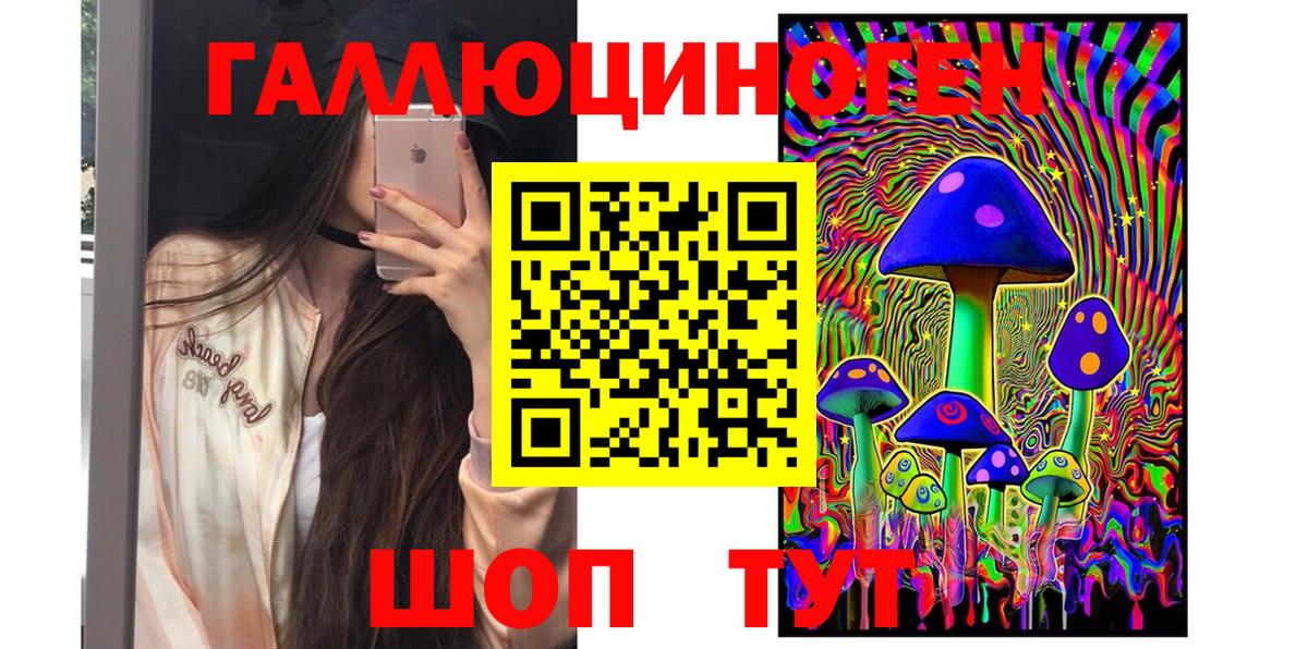 дарнет шоп  Вход с VPN  Галлюциногенные грибы мицелий  Буйнакск  Псилоцибиновые грибы Magic Shrooms 